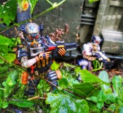 BOT hunting
